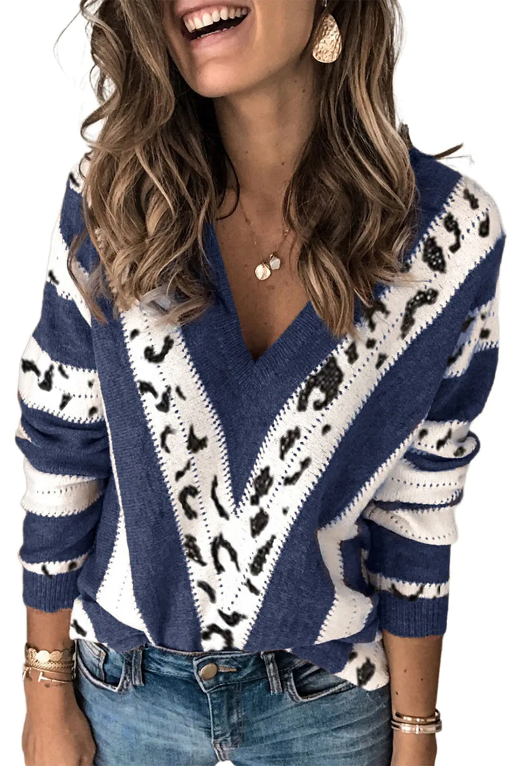 Animal Print Accent V Neck Sweater