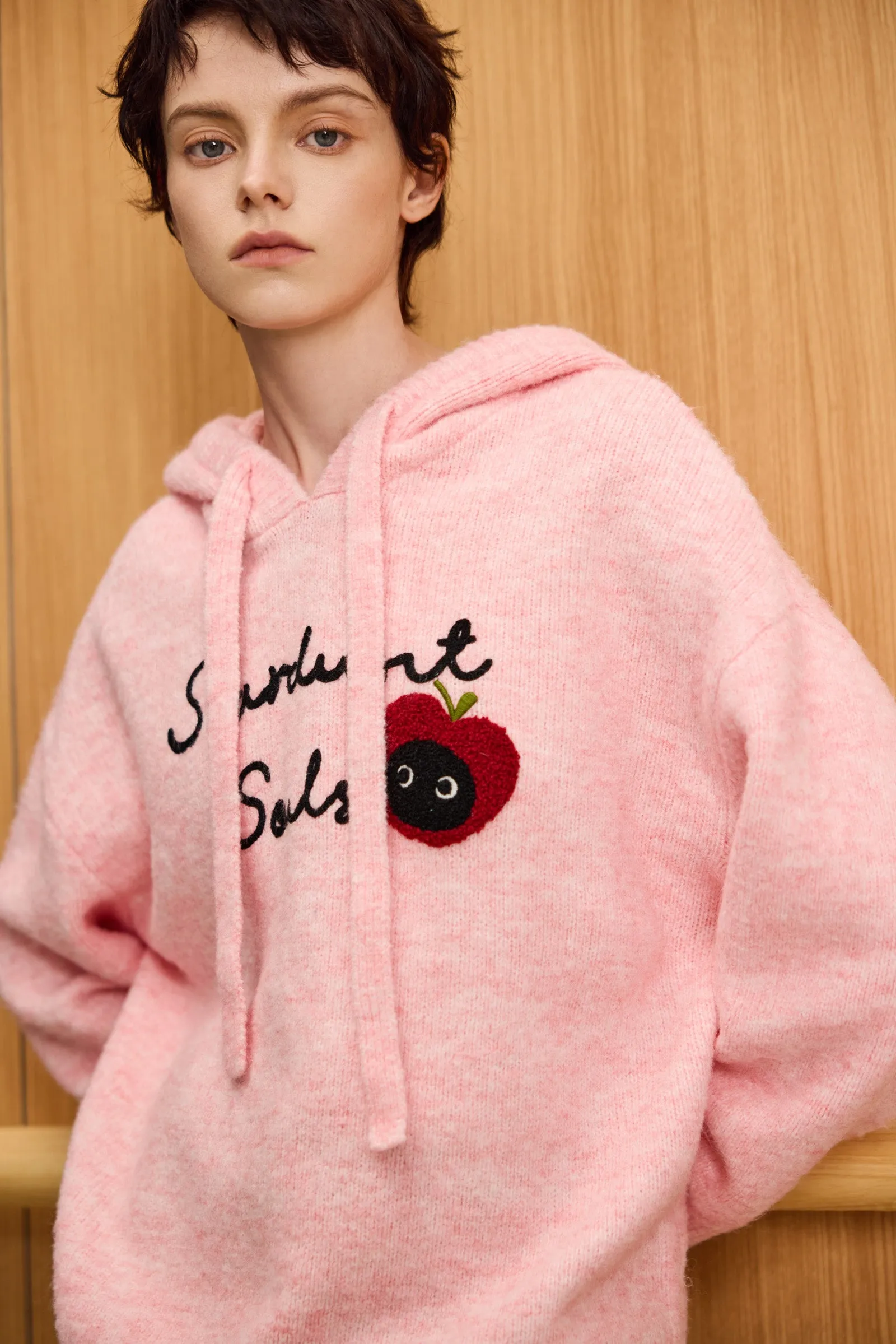 LILY Hooded Cat Embroidery Casual Knit Sweater