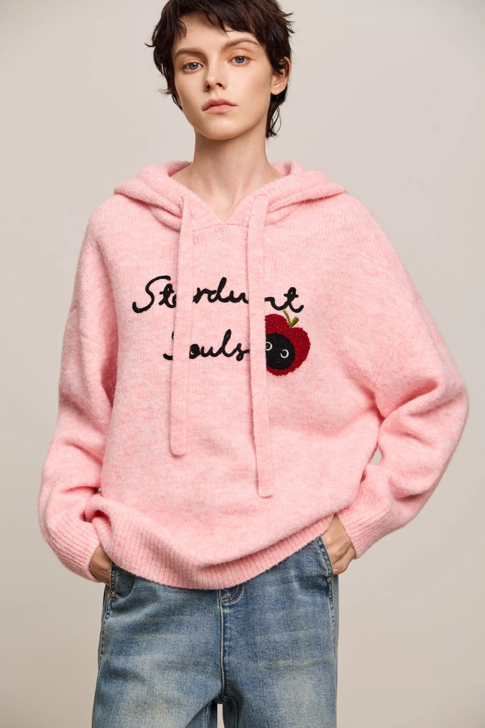 LILY Hooded Cat Embroidery Casual Knit Sweater