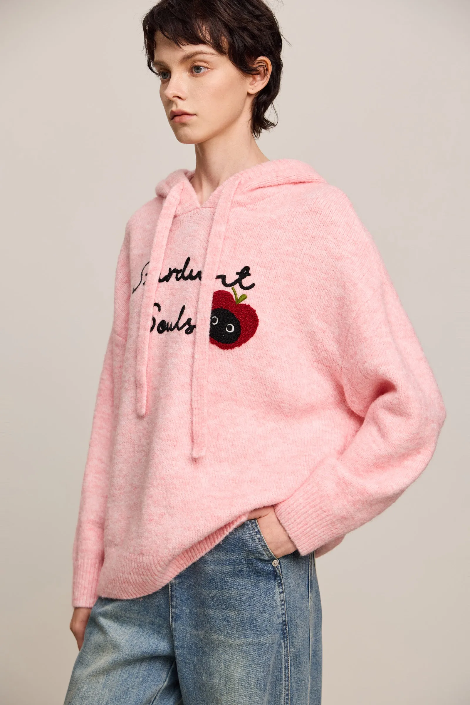 LILY Hooded Cat Embroidery Casual Knit Sweater